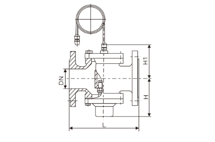 自力式压差控制阀(图1) 自力式压差控制阀(图1)