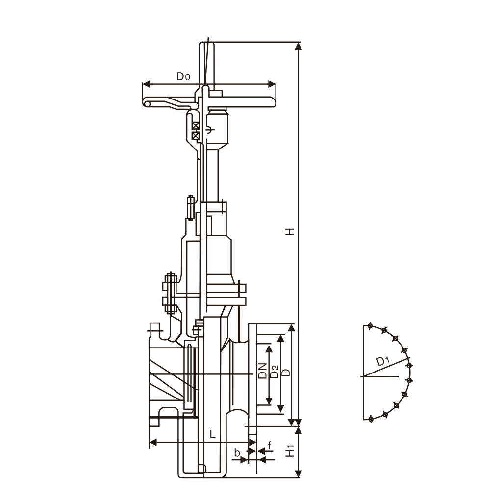 带导流孔平板闸阀(图1) 带导流孔平板闸阀(图1)